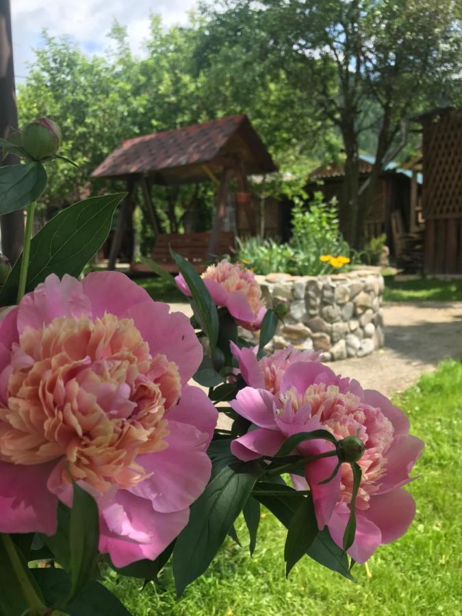 Садиба Диво Квітка Tatariv Buitenkant foto
